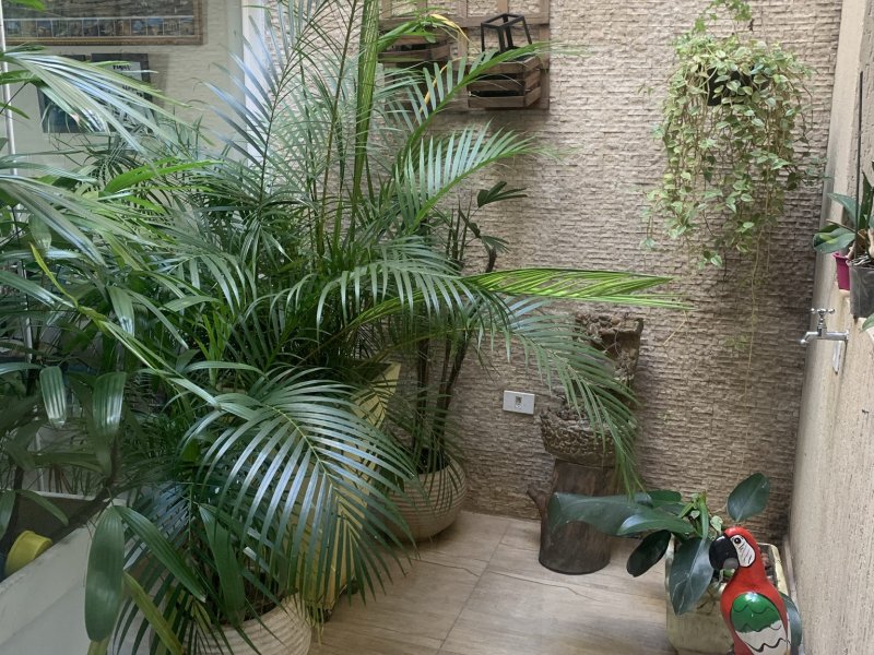imóvel com 280m² - Vila Jerusalém - São Bernardo do Campo