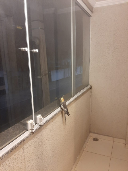 imóvel com 56m² - Cidade Morumbi - Sao Jose dos Campos