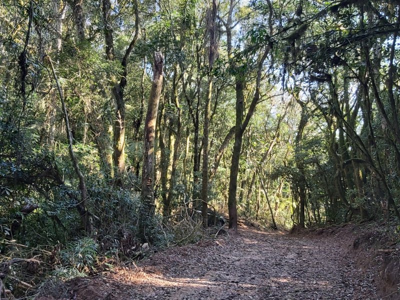 Sítio à venda Centro com 62m² e 1 quarto por R$ 2.200.000 - 309659360-20210710-143104.jpg