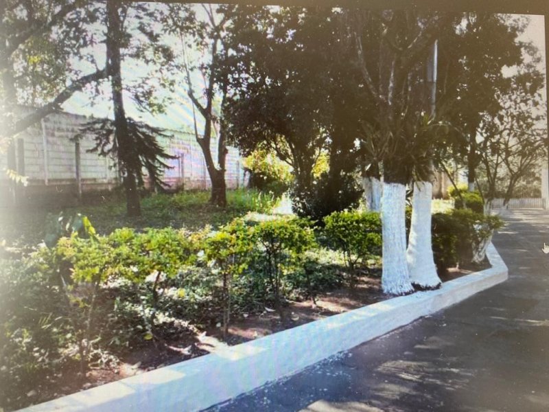 Chácara à venda Centro com 350m² e 3 quartos por R$ 750.000 - 1064234326-e955c2e0-d82b-4537-9dad-bb2c04cdf315.jpeg