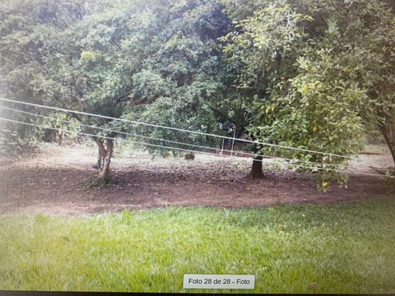Chácara à venda Centro com 350m² e 3 quartos por R$ 750.000 - 213131689-9c54ab90-7351-4b43-9d5b-906120dad308.jpeg