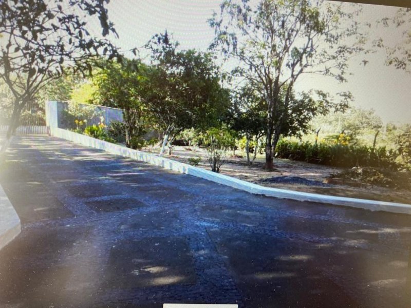 Chácara à venda Centro com 350m² e 3 quartos por R$ 750.000 - 771856365-482d8e7b-542c-4511-9319-e71e4aa1dd88.jpeg