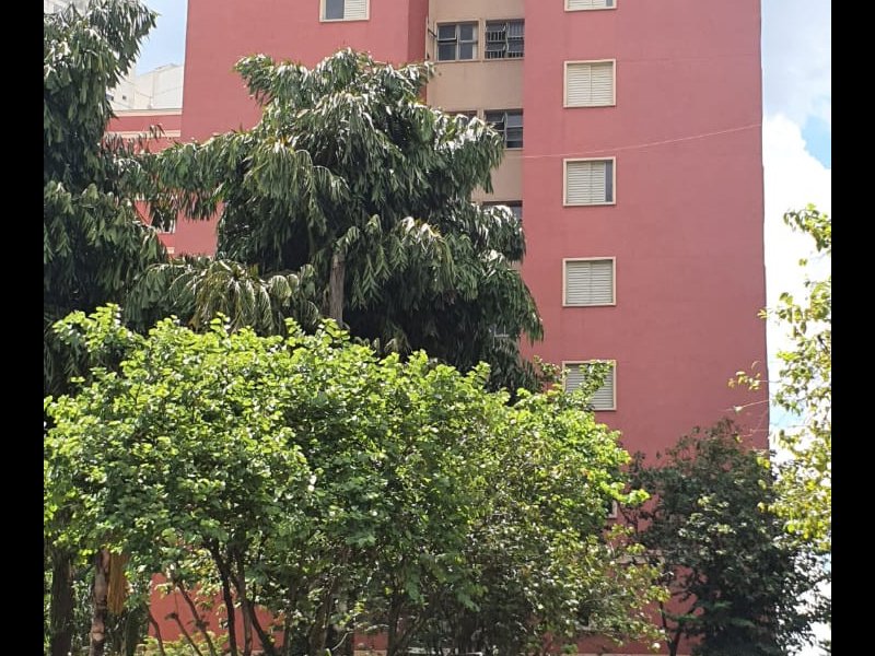 Apartamento à venda Lauzane Paulista com 6150m² e 3 quartos por R$ 415.000 - 162874645-c7a42b16-9968-4f88-b9a7-b3a998fb852f.jpg