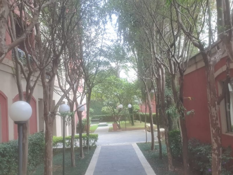 Apartamento à venda Lauzane Paulista com 6150m² e 3 quartos por R$ 415.000 - 673179577-whatsapp-image-2021-02-24-at-13.jpeg