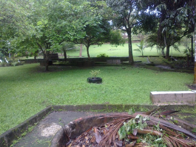 Chácara à venda Centro com 2m² e 2 quartos por R$ 150.000 - 464454907-img-20210108-wa0058.jpg