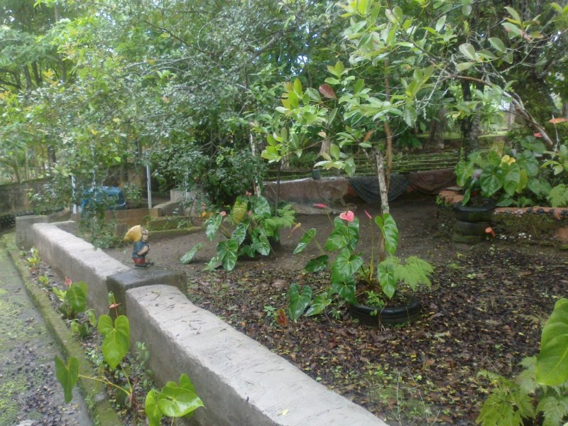 Chácara à venda Centro com 2m² e 2 quartos por R$ 150.000 - 718658004-img-20210108-wa0062.jpg