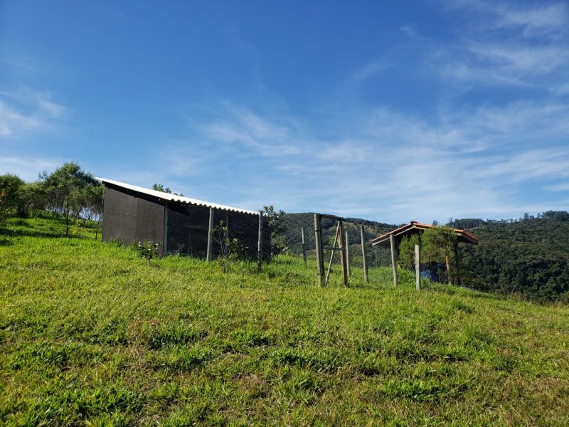 Sítio à venda CENTRO com 24000m² e 3 quartos por R$ 850.000 - 1012905832-20-galinheiro-grande-2.jpeg