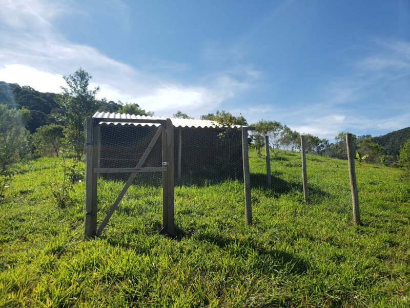 Sítio à venda CENTRO com 24000m² e 3 quartos por R$ 850.000 - 1552007358-19-galinheiro-grande-1.jpeg