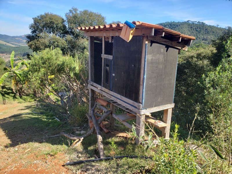 Sítio à venda CENTRO com 24000m² e 3 quartos por R$ 850.000 - 1765179144-17-galineiro-pequeno-1.jpeg