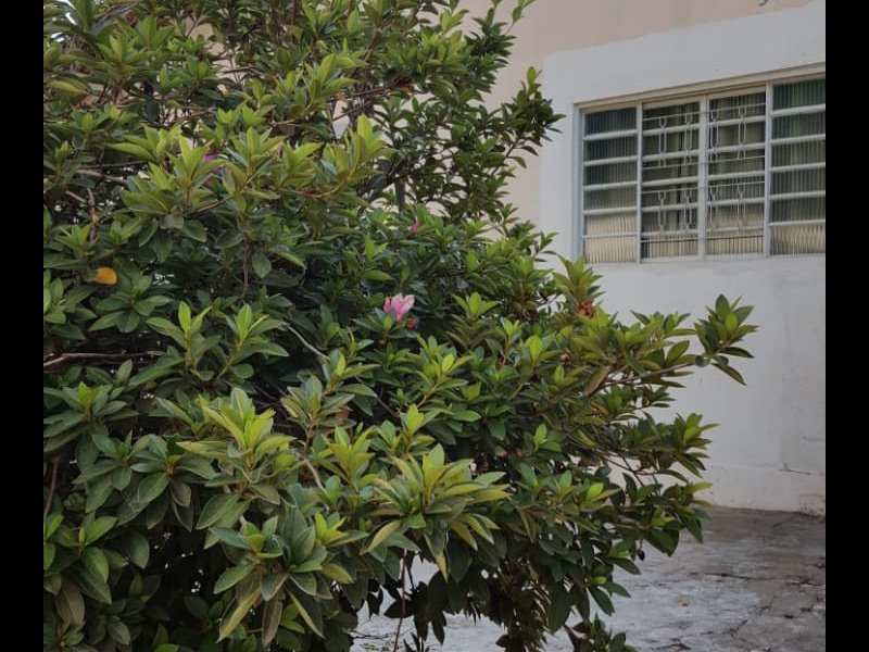 Casa à venda Amizade com 80m² e 3 quartos por R$ 150.000 - 1568342698-5.jpeg