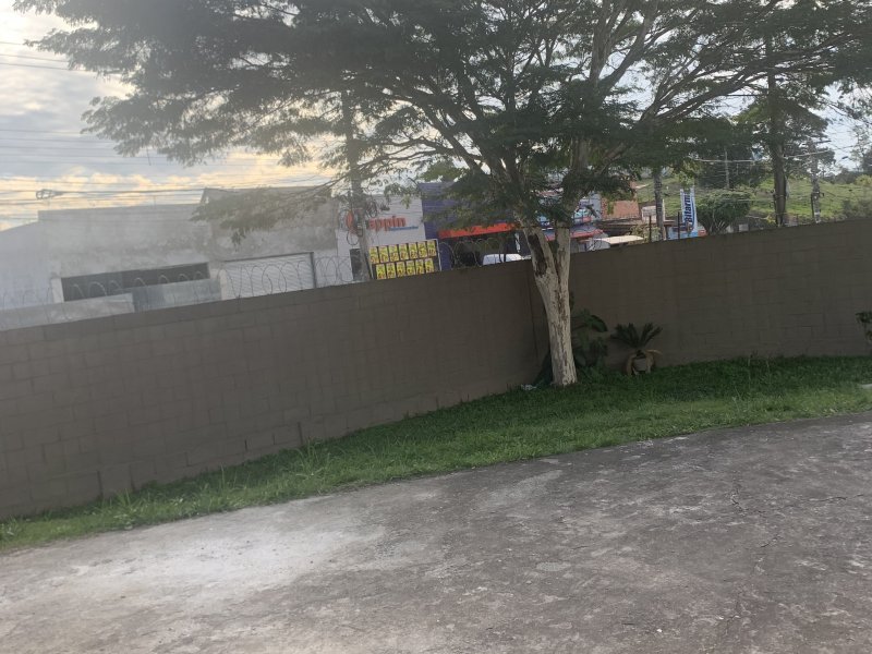 Apartamento à venda Vila Guilherme com 60m² e 2 quartos por R$ 165.000 - 991791917-e8fd43d6-c919-4d49-b6bc-38e1ded26384.jpeg