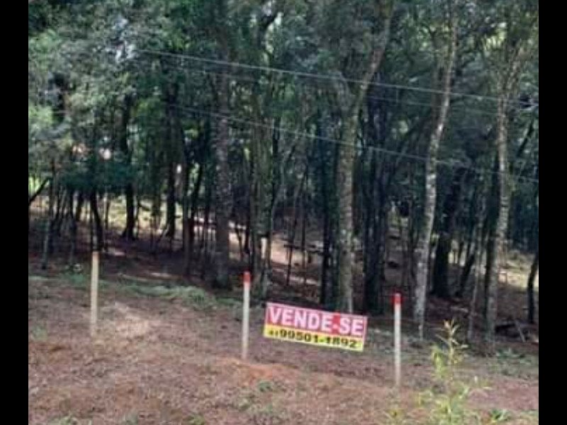 Chácara à venda Centro com 17000m² e 1 quarto por R$ 280.000 - 478374262-inbound4270699451067303670.jpg