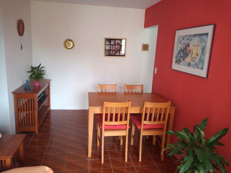 imóvel com 54m² - Parque Bristol - São Paulo