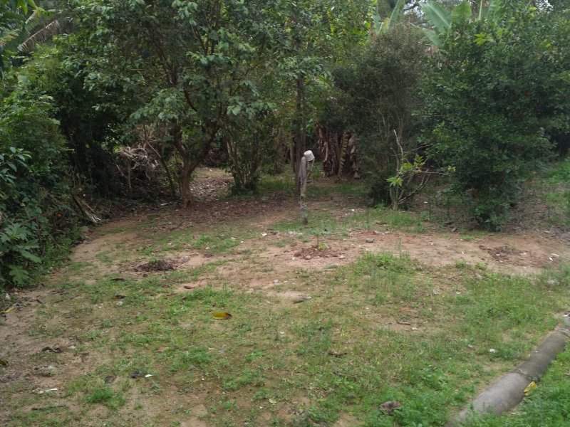 Casa à venda Forquilhas com 400m² e 5 quartos por R$ 400.000 - 1074232491-20210610-141641.jpg