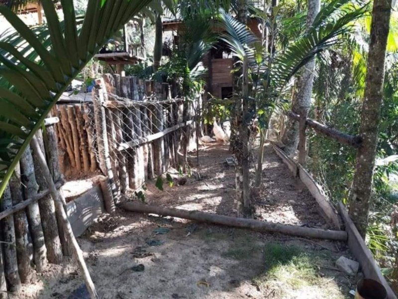 Sítio à venda Centro com 10000m² e 5 quartos por R$ 150.000 - 1717928287-whatsapp-image-2020-09-01-at-10.jpeg
