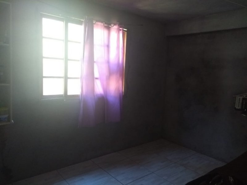 Sítio à venda Centro com 10000m² e 5 quartos por R$ 150.000 - 245523071-whatsapp-image-2021-02-10-at-17.jpeg