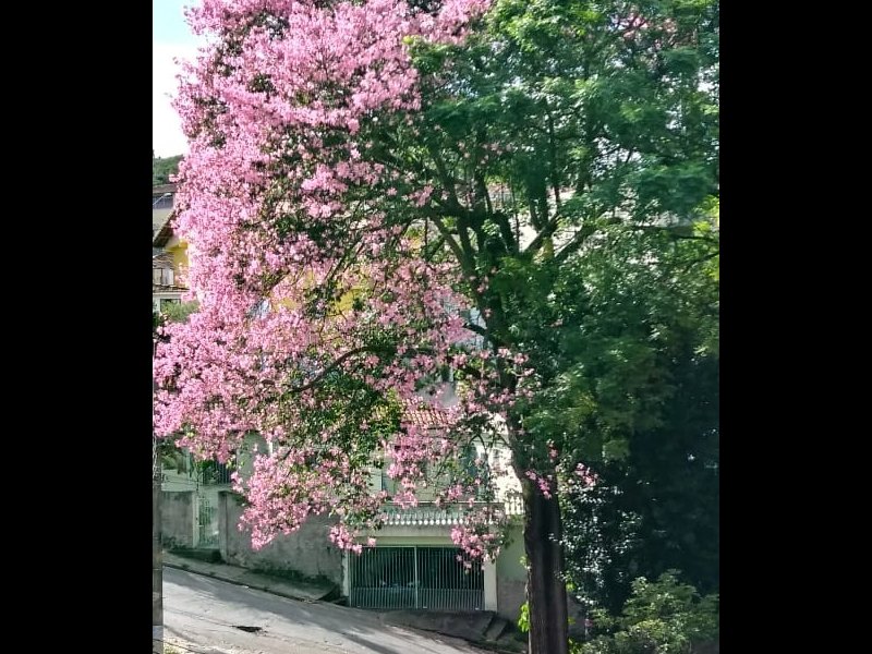 Apartamento à venda Jardim Peri com 121m² e 3 quartos por R$ 560.000 - 1793447072-foto19.jpg