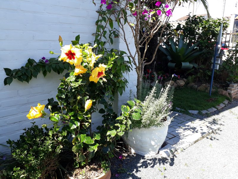 Comercial à venda Centro com 336m² e 1 quarto por R$ 1.200.000 - 1183238449-20180809-121928.jpg