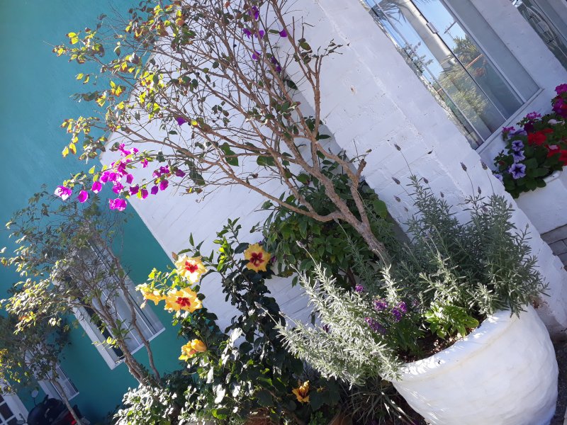 Comercial à venda Centro com 336m² e 1 quarto por R$ 1.200.000 - 1387241244-20180809-121814.jpg