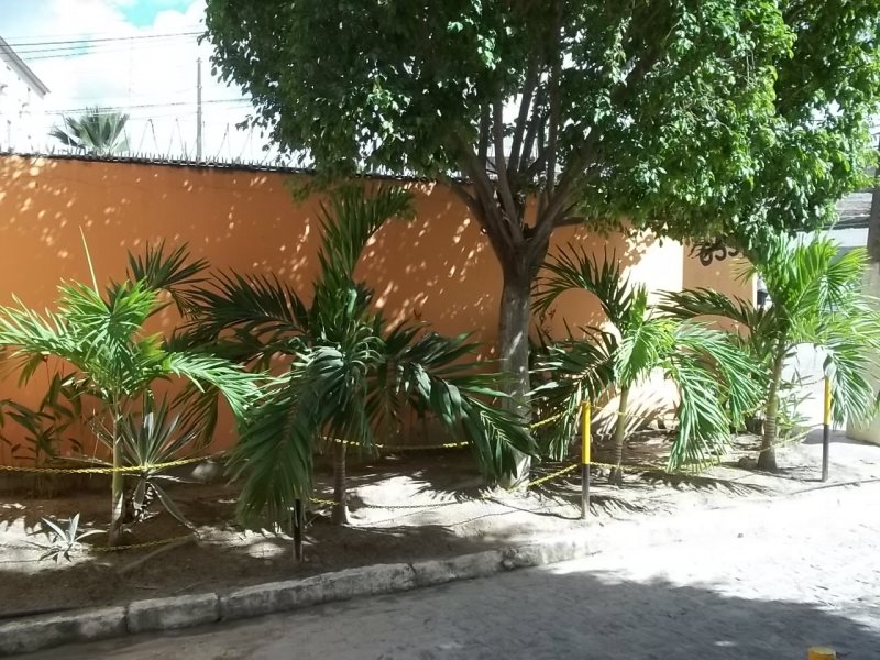 Apartamento à venda rio doce com 45m² e 2 quartos por R$ 70.000 - 1728788902-100-8013.JPG