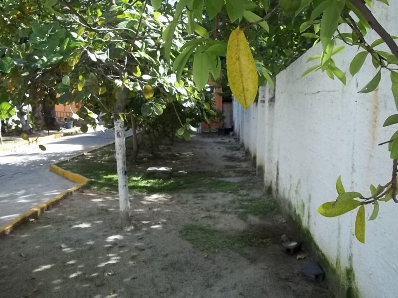 Apartamento à venda rio doce com 45m² e 2 quartos por R$ 70.000 - 2031524197-100-8008.JPG