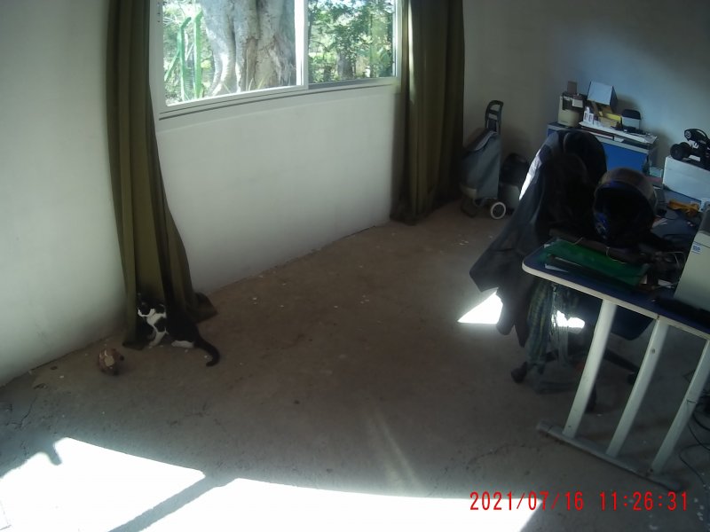 Casa à venda Piratini com 100m² e 2 quartos por R$ 190.000 - 1121475486-97476017-2ad9-4776-8a7c-026ee0f055e4.jpeg