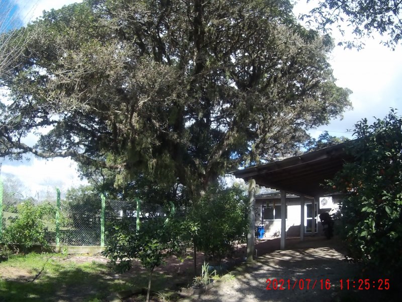 Casa à venda Piratini com 100m² e 2 quartos por R$ 190.000 - 1182584988-f03283cc-380c-4c7b-83cd-a223e906bfdf.jpeg