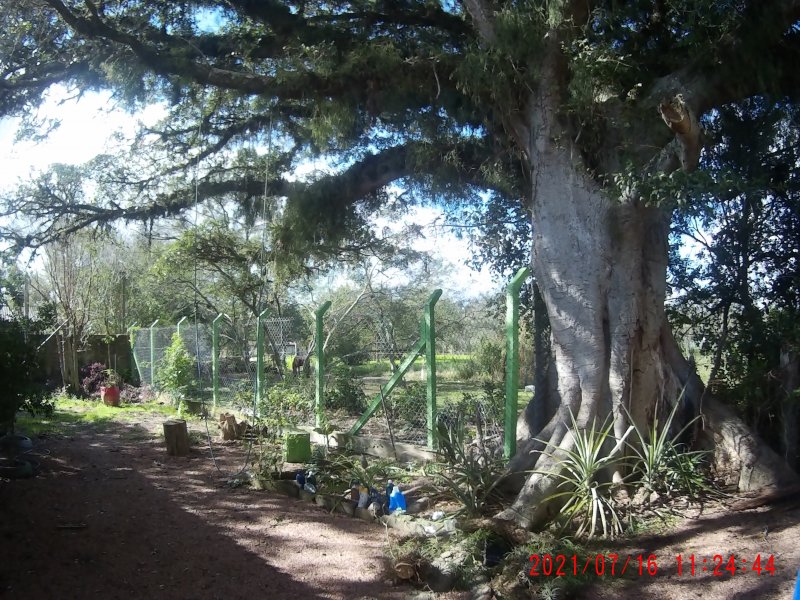 Casa à venda Piratini com 100m² e 2 quartos por R$ 190.000 - 2123091950-5fd5db5c-664d-4508-8dc5-4986ec0d8a75.jpeg