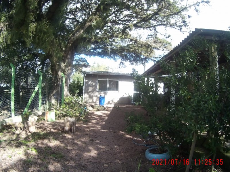Casa à venda Piratini com 100m² e 2 quartos por R$ 190.000 - 510298302-15c676b9-7c84-466c-ae8a-3ff95259370d.jpeg