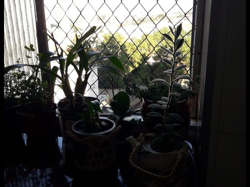 Apartamento à venda Saúde com 99m² e 2 quartos por R$ 585.000 - janela-area-servico.jpg