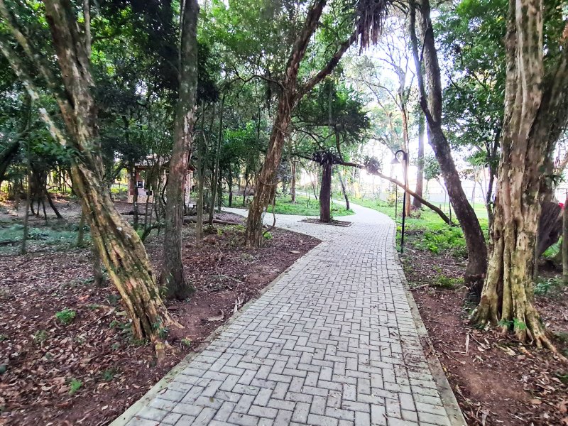 Apartamento à venda Santa Terezinha com 46m² e 2 quartos por R$ 124.000 - 1019565331-24.jpg