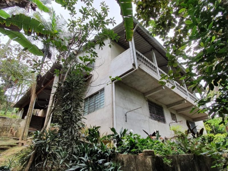 Chácara à venda Sete Praias com 1180m² e 4 quartos por R$ 650.000 - 1138768054-chacara-1.jpeg