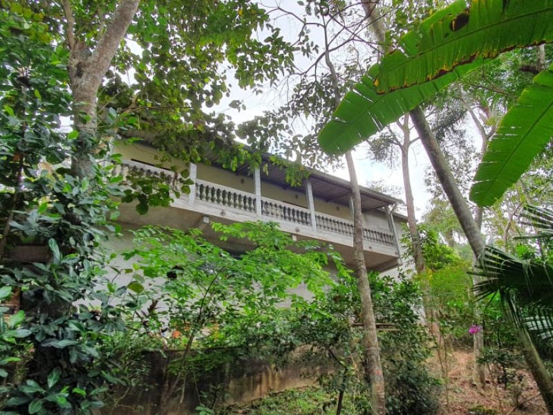 Chácara à venda Sete Praias com 1180m² e 4 quartos por R$ 650.000 - 1140772345-chacara-2.jpeg