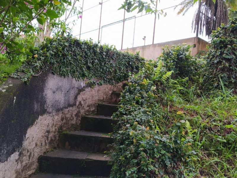 Sítio à venda Santo Antonio com 7000m² e 5 quartos por R$ 2.200.000 - 1043815348-quintal-frente5-entrada-piscina.jpeg