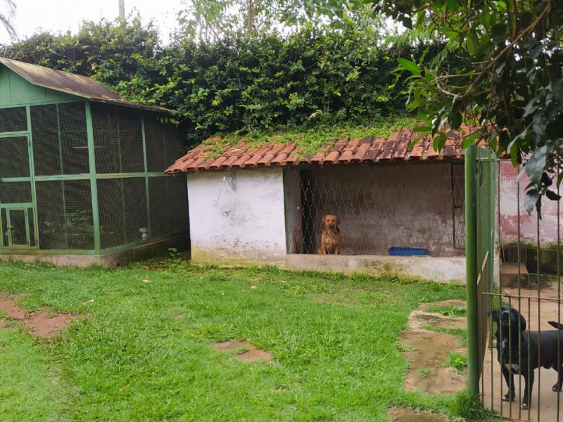 Sítio à venda Santo Antonio com 7000m² e 5 quartos por R$ 2.200.000 - 1437610128-quintal-frente-canil.jpeg