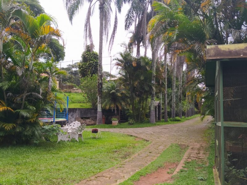 Sítio à venda Santo Antonio com 7000m² e 5 quartos por R$ 2.200.000 - 1543077148-quintal-frente.jpeg