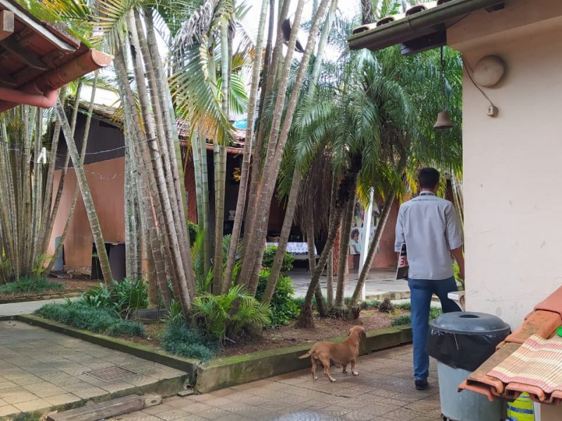 Sítio à venda Santo Antonio com 7000m² e 5 quartos por R$ 2.200.000 - 1814653924-quintal-fundos2.jpeg