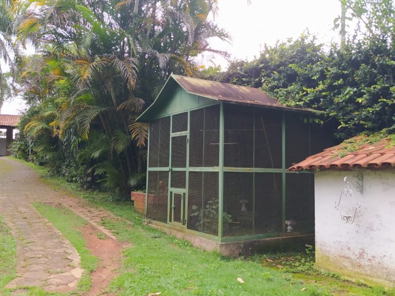 Sítio à venda Santo Antonio com 7000m² e 5 quartos por R$ 2.200.000 - 252852441-entrada-sitio1.jpeg