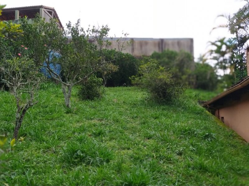 Sítio à venda Santo Antonio com 7000m² e 5 quartos por R$ 2.200.000 - 497485382-area-externa1.jpeg