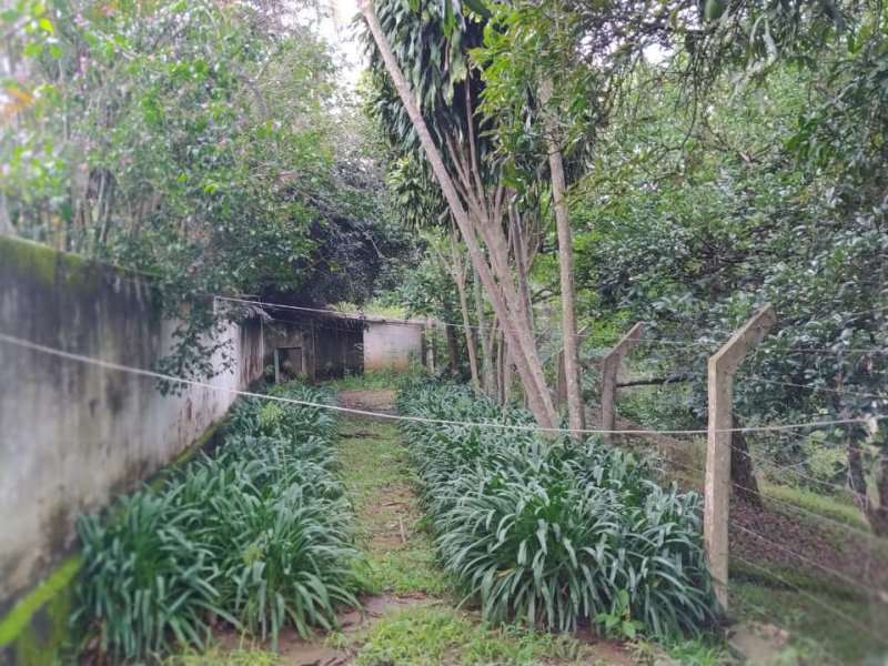 Sítio à venda Santo Antonio com 7000m² e 5 quartos por R$ 2.200.000 - 765569542-pomar-entrada.jpeg