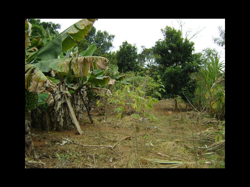 Chácara à venda Chácaras Luzia Vicente com 9m² e 3 quartos por R$ 1.500.000 - 375881628-dsc00270.JPG