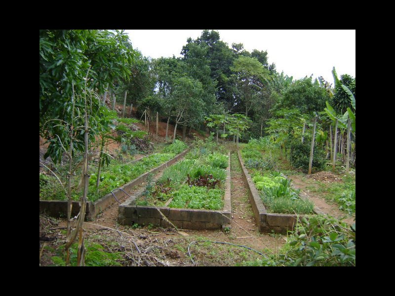 Chácara à venda Chácaras Luzia Vicente com 9m² e 3 quartos por R$ 1.500.000 - 423512437-dsc00266.JPG