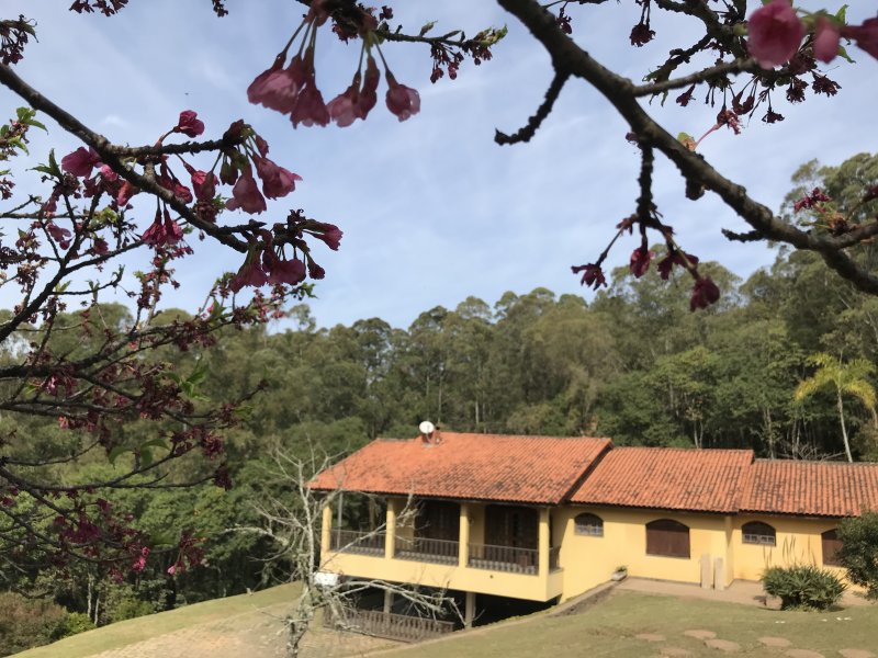 Chácara à venda Ciriaco com 6000m² e 3 quartos por R$ 850.000 - 2097644632-4122f4ff-7ad6-41c9-86a9-cd83e3623ab0.jpeg