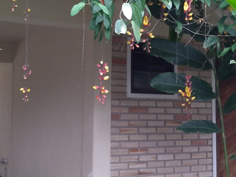 Comercial à venda Praia da Boracéia com 1300m² e 1 quarto por R$ 6.000.000 - 1070476391-20201007-160912.jpg