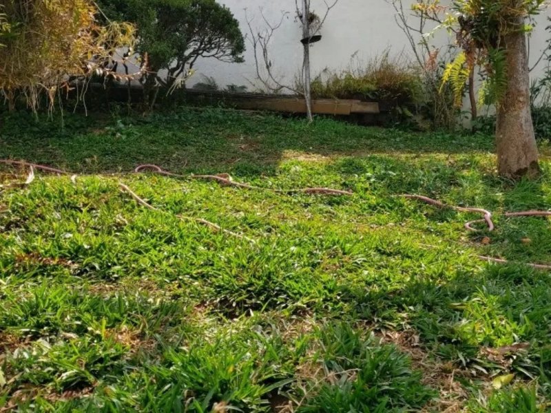 Terreno à venda Tremembé com 135m² e 1 quarto por R$ 280 - 496774004-screenshot-20210705-001925-mercado-libre.jpg