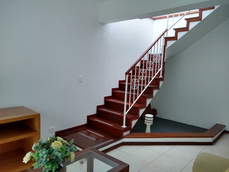 Terreno à venda Areia Branca com 1000m² e 0 quartos por R$ 139.000 - 1078102261-foto-31.jpeg