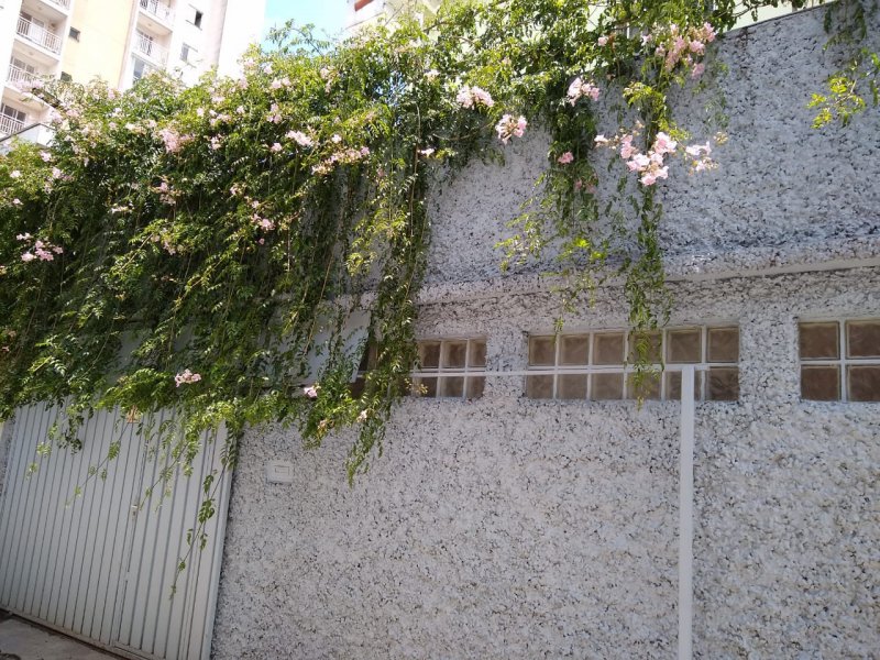 Terreno à venda Areia Branca com 1000m² e 0 quartos por R$ 139.000 - 1858380380-foto-20.jpeg