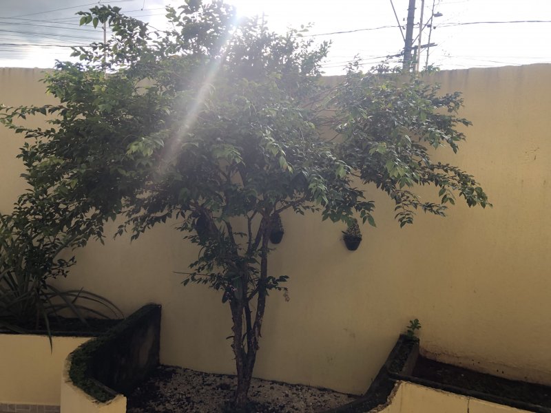 Casa à venda Chácara Belo Horizonte com 260m² e 4 quartos por R$ 500.000 - 1449473656-img-2576.JPG