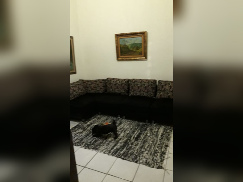 Casa à venda Carlos Prates com 227m² e 5 quartos por R$ 550.000 - whatsapp-image-2021-09-12-at-133229-2.jpeg