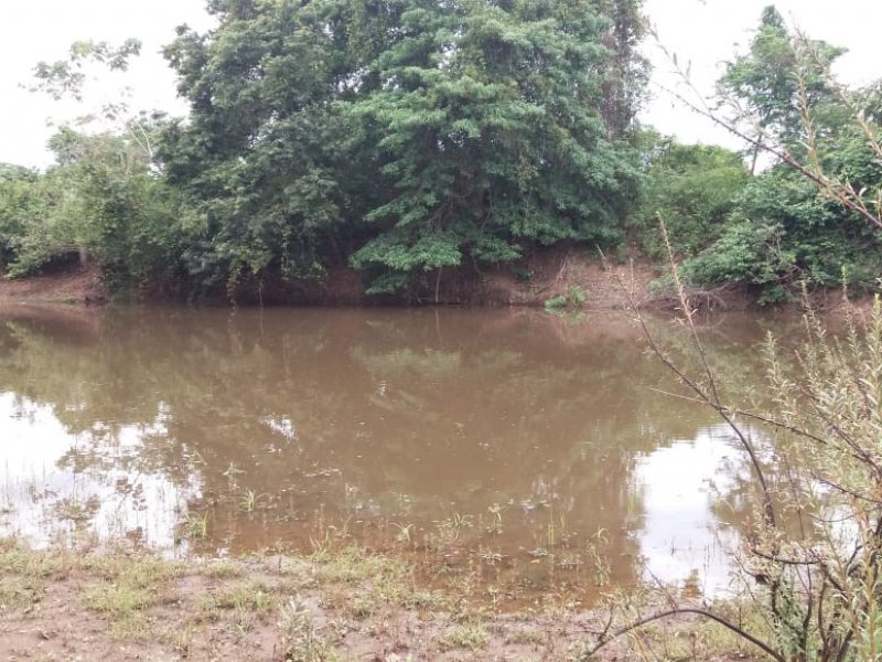 imóvel com 78m² - Centro - Pequizeiro
